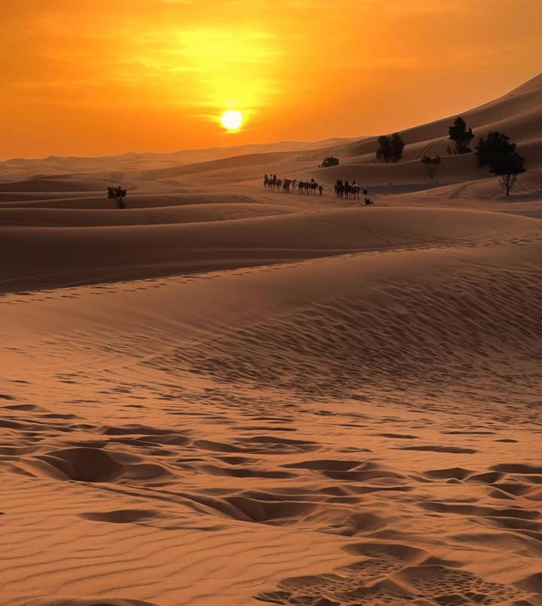 Merzouga Desert Campsite &Activities Exteriör bild